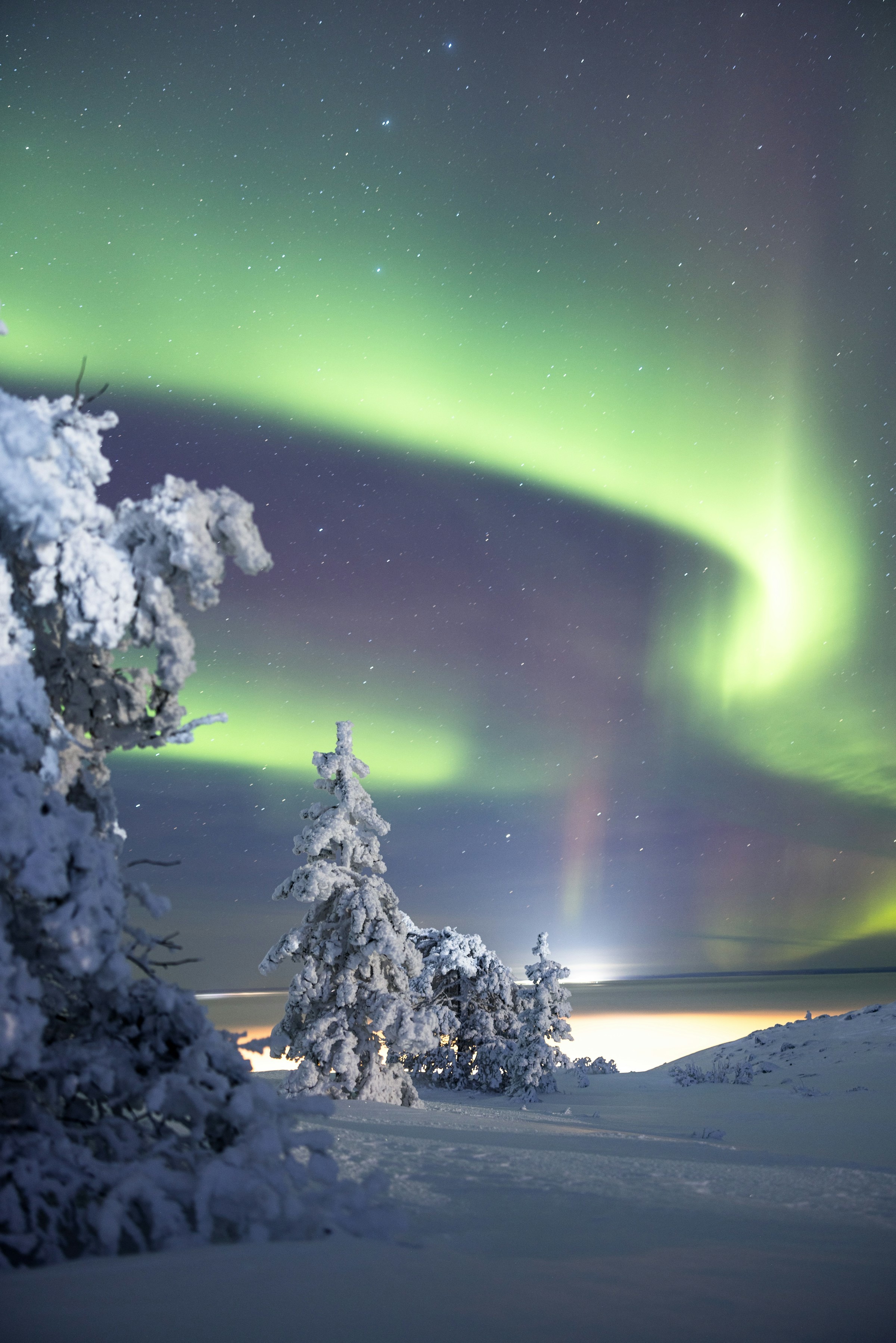 Aurora night